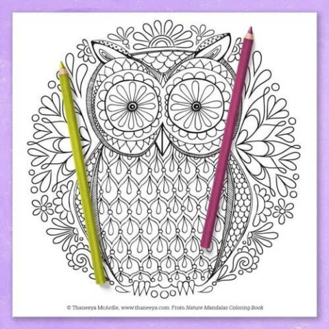 22 Procreate Friendly Coloring Pages for Adults Again