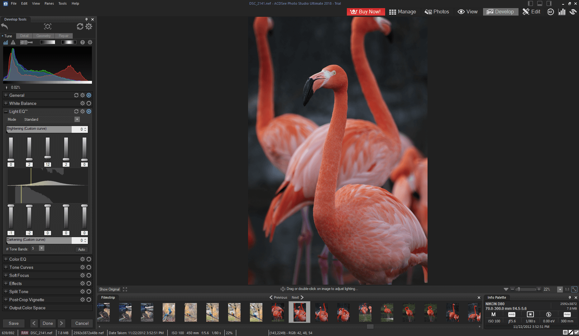 download acdsee photo studio ultimate download acdsee photo studio ultimate