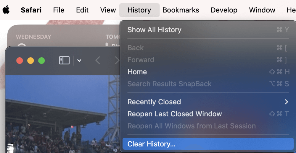 clear history on safari greyed out mac