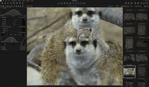 Capture One Pro Review: Is It Really Worth It in 2024?