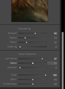 how To Fix grainy photos in Lightroom 4 step Guide how To Fix grainy photos in Lightroom 4 step Guide