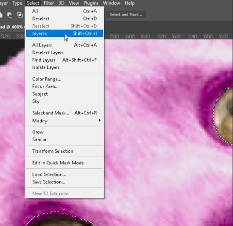 How to Invert Colors in Photoshop (Step-by-Step)