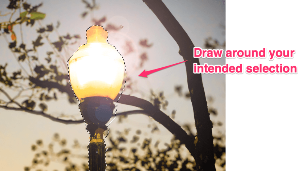 How to Use the Lasso Tool in (Quick Guide)