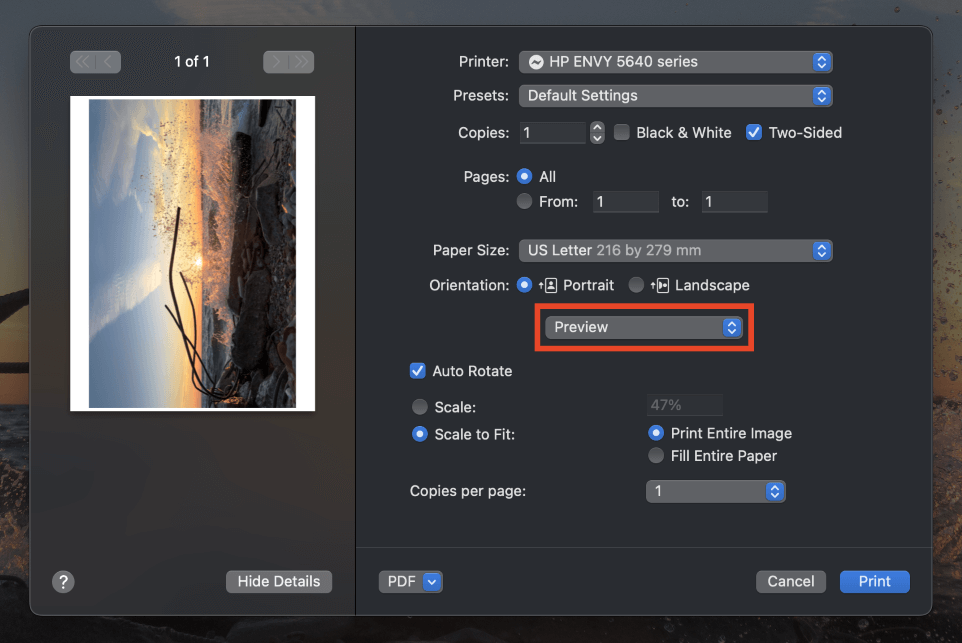 How To Print From Preview On Mac 3 Steps Tips how-to-print-from-preview-on-mac-3-steps-tips