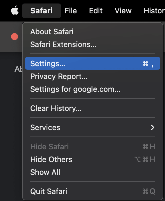 safari can't find server on mac