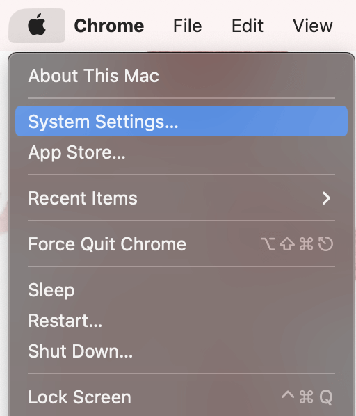 safari can't find server on mac