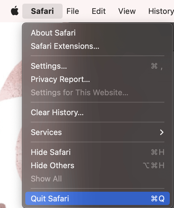 safari search bar not working mac