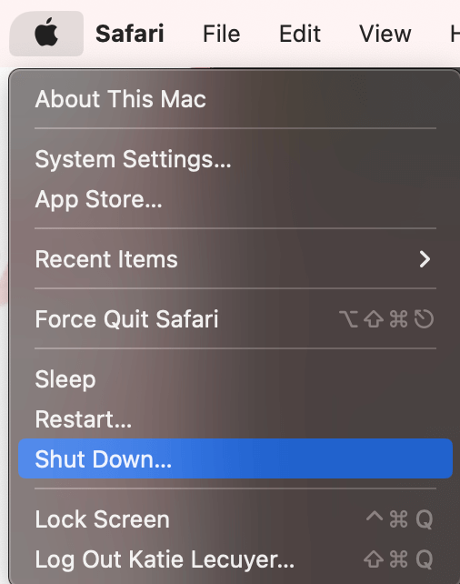 safari search bar not working mac