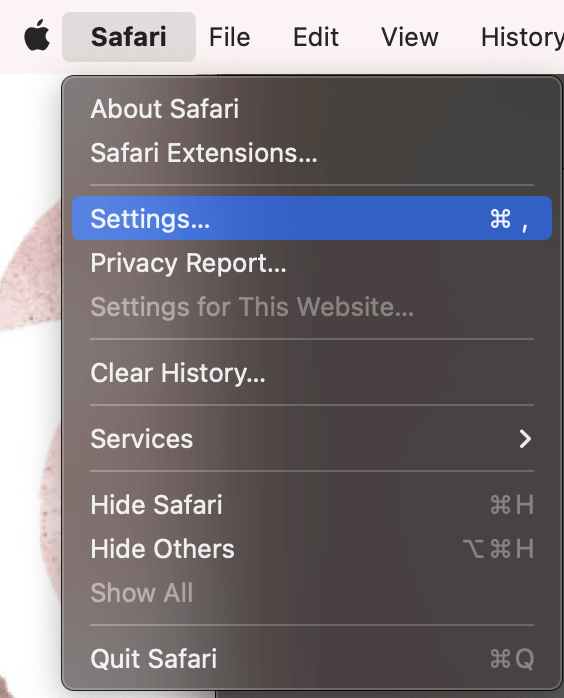 safari search bar not working mac