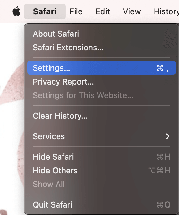 safari search bar not working mac