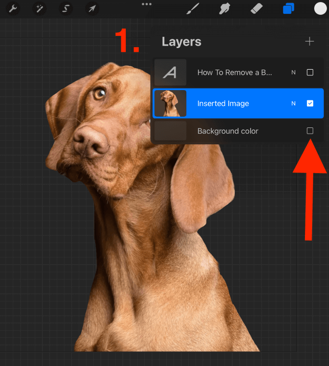 How to Save Procreate File with Transparent Background