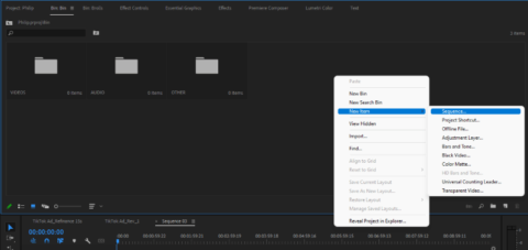 What is a Sequence in Adobe Premiere Pro? (Explained)
