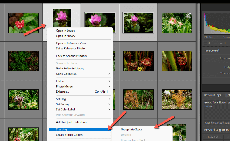 How to unstack in procreate 2 How to Stack Photos in Lightroom (With Examples)