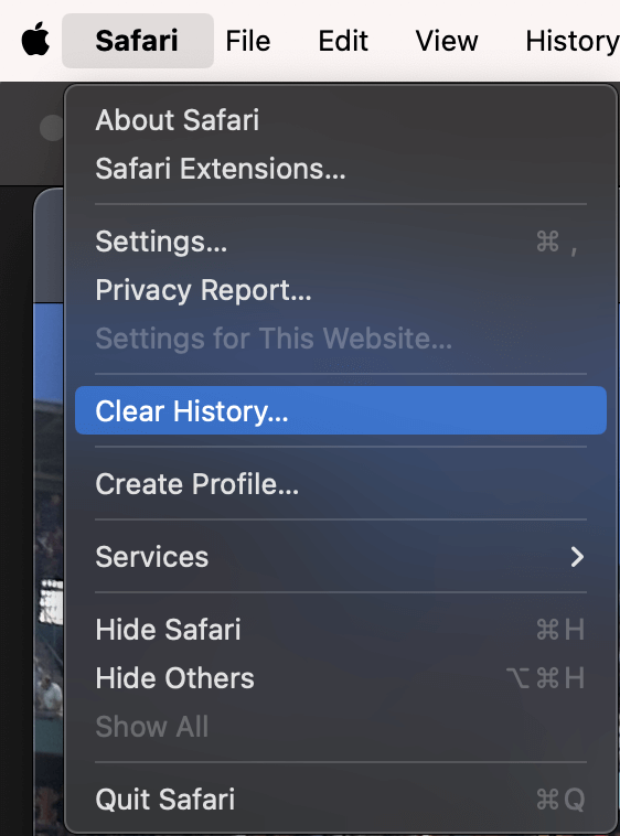 remove safari app