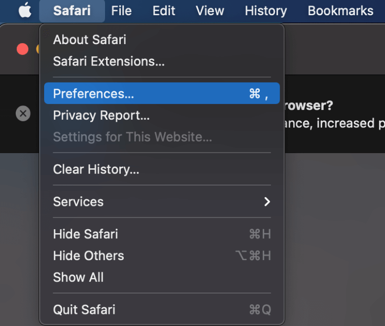 how to upgrade safari only