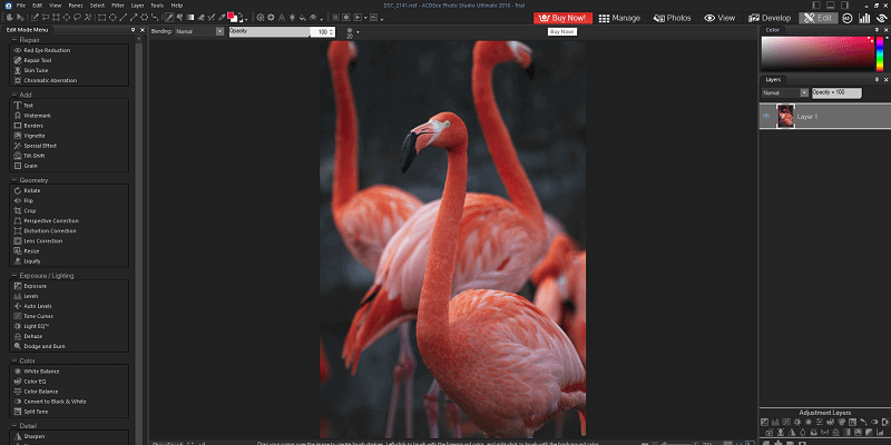 acdsee photo studio sort by size acdsee photo studio sort by size