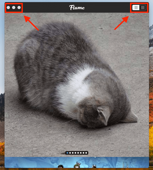 direct message instagram mac download