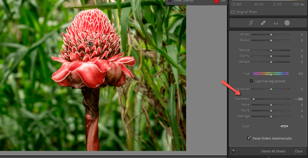3 Ways to Blur Background in Lightroom (Step-by-Step)