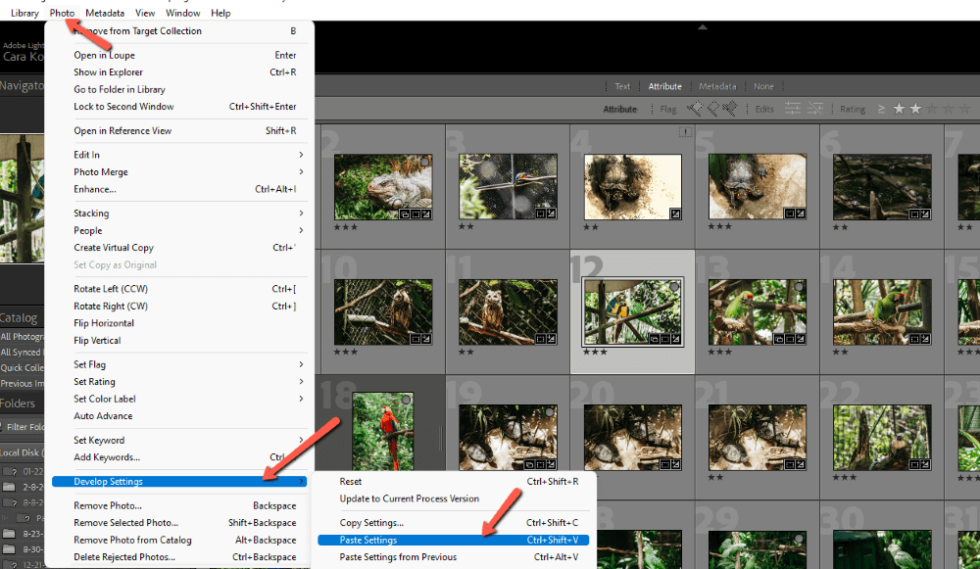 how-to-copy-edit-settings-to-another-photo-in-lightroom