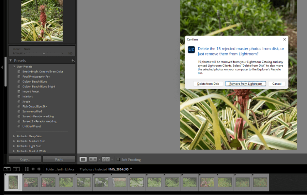 How To Delete Photos From Lightroom Tips Guides deepswap-ai-win-11