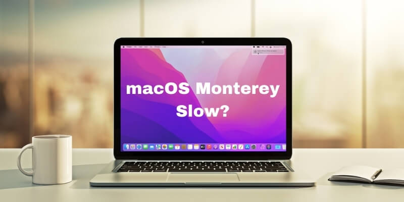macOS Monterey Slow? Here Are The Reasons Why and Fixes
