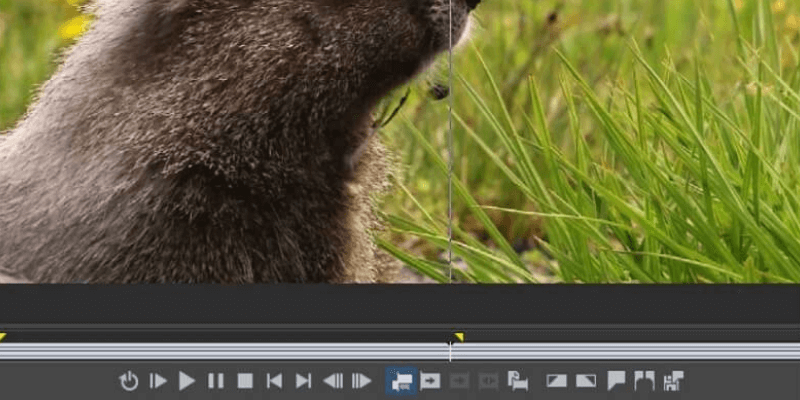 magix vegas movie studio platinum review