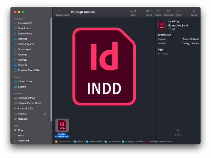 indd download